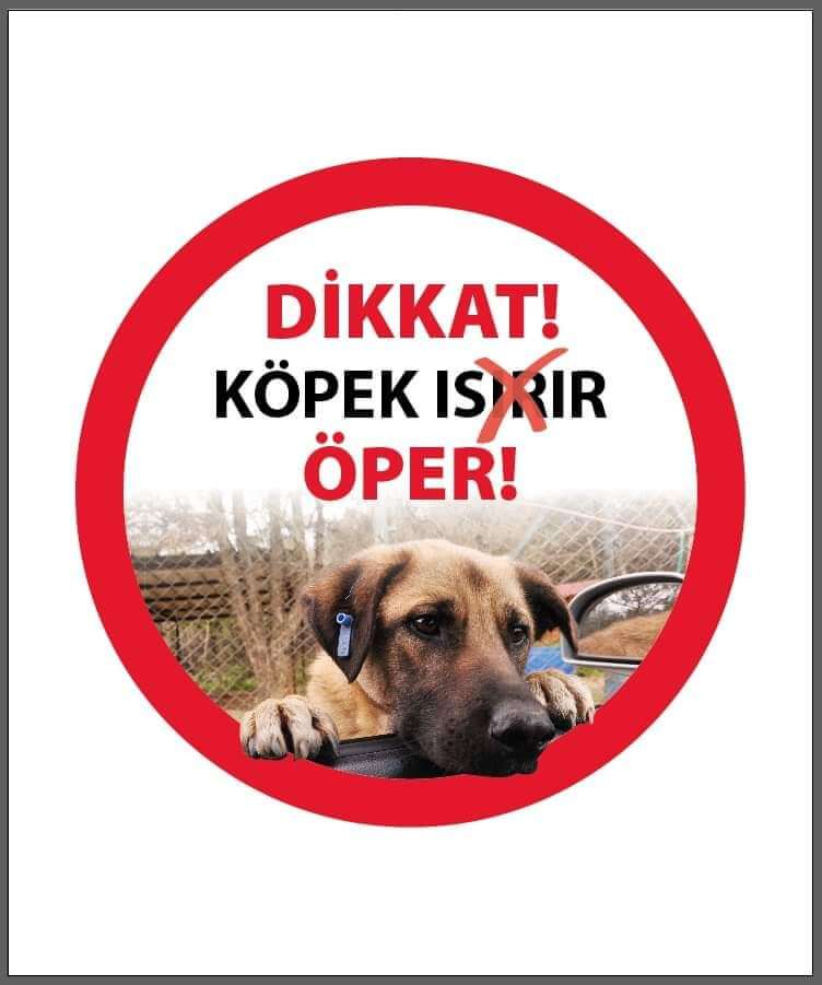 Kuduz Aşını Sen Neden Yaptırmadın Ey Köpek ?-2006